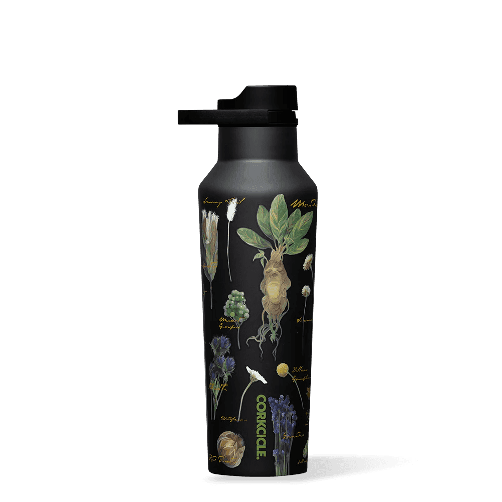 SPORT CANTEEN 20 OZ  HARRY POTTER