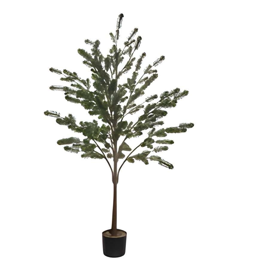 PLANTA DECOR