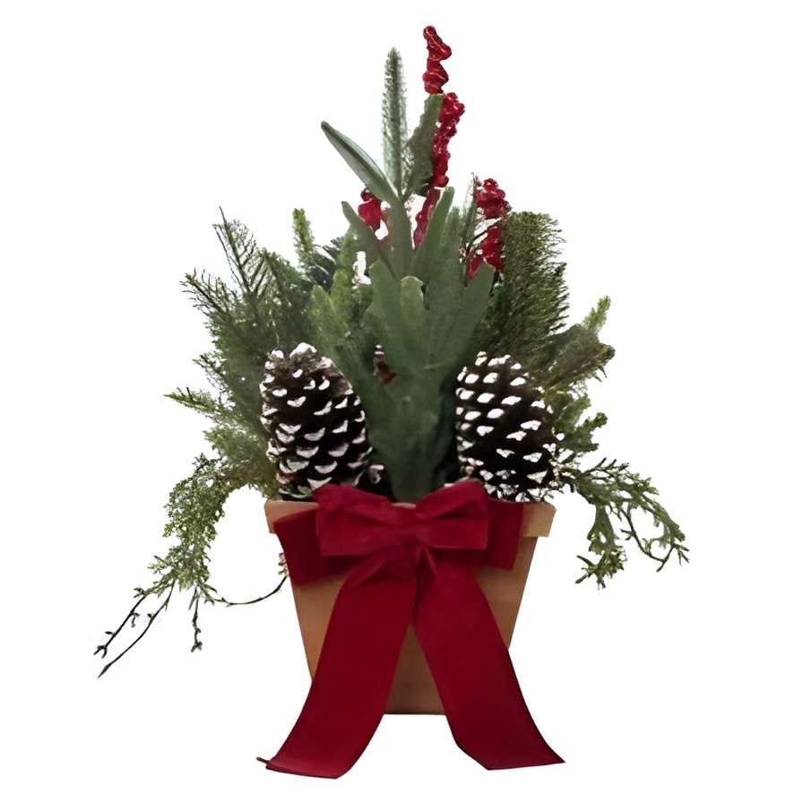 PLANTA DECOR