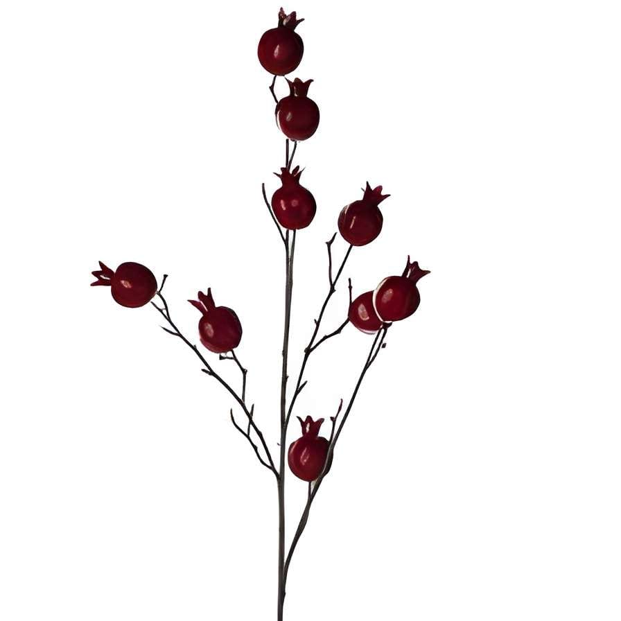 RAMAS X85CM