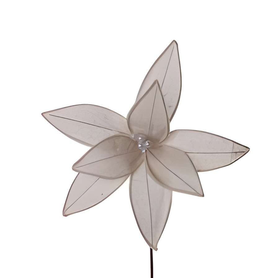 FLOR DECOR X31CM