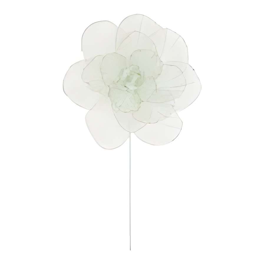 POINSETTIA DECOR