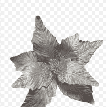 NAVIDAD FLOR REND-CHAMP